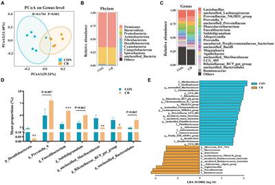 Uncovering the mechanism of Clostridium butyricum CBX 2021 to improve pig health based on in vivo and in vitro studies